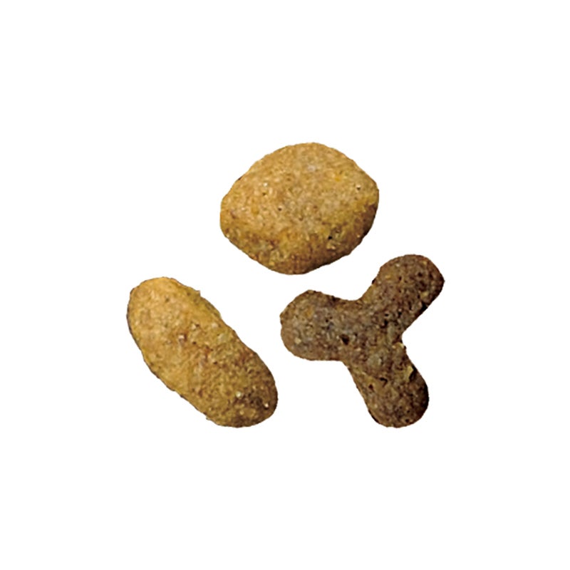 美味を求める成猫用 1歳以上 チキン - ピュリナ ワン キャット